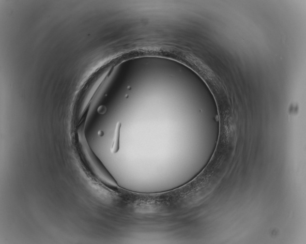 X0000094430728200711151341