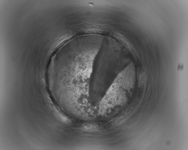 X0000094430729200711151341