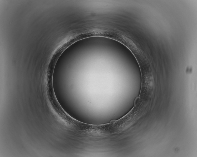 X0000094430730200711151341