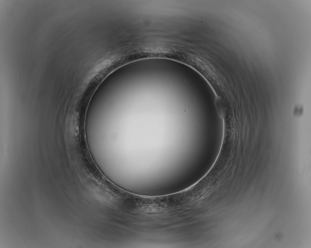 X0000094430731200711151341