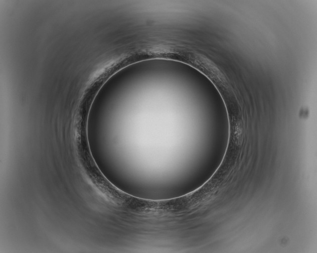 X0000094430732200711151341