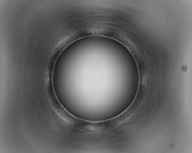 X0000094430733200711151341