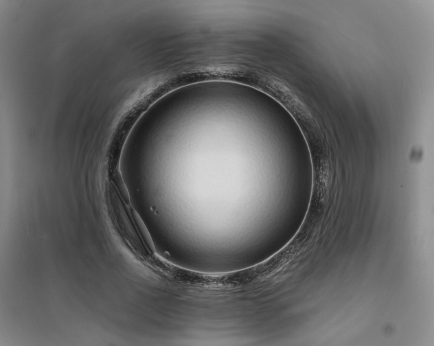 X0000094430734200711151341