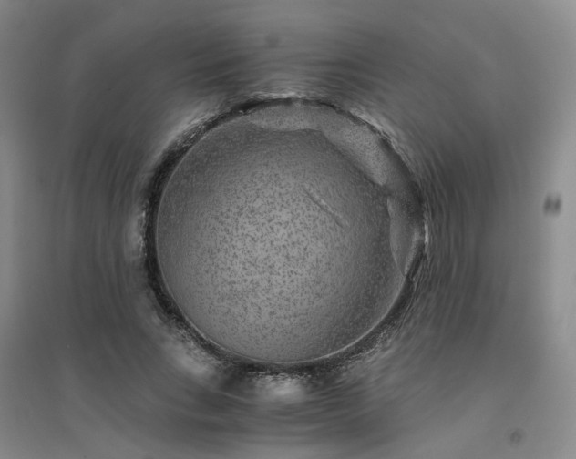 X0000094430735200711151341