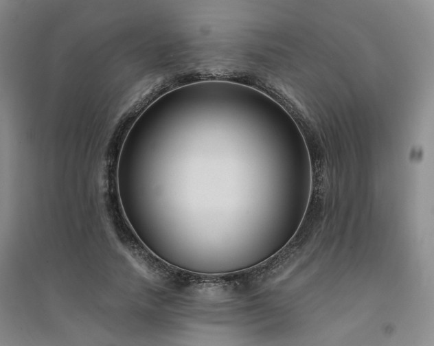 X0000094430738200711151341