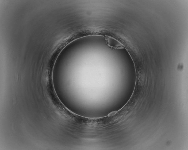 X0000094430740200711151341