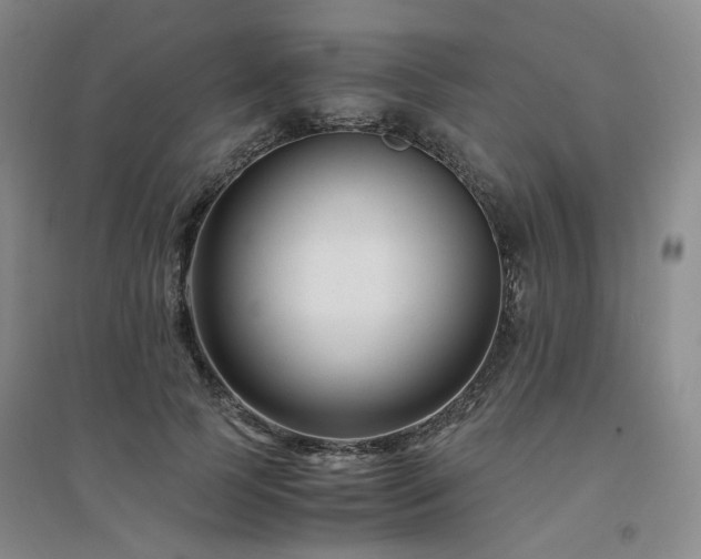 X0000094430745200711151341