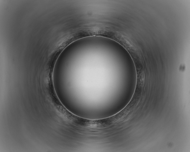 X0000094430746200711151342