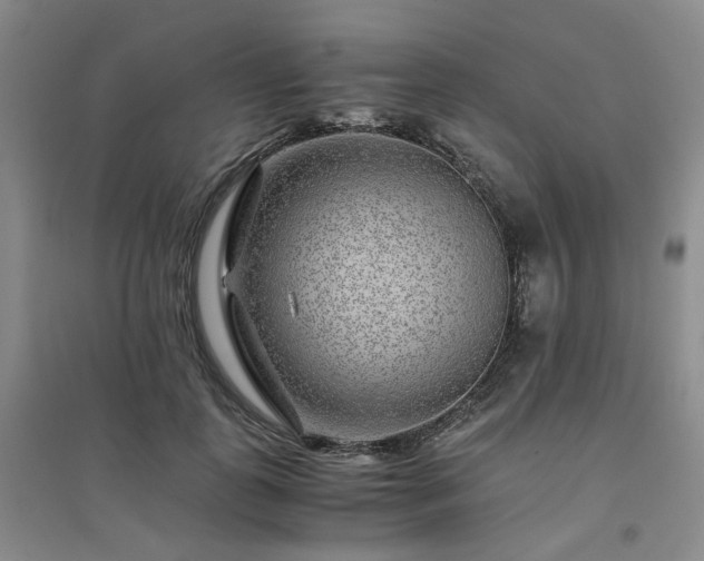 X0000094430747200711151342