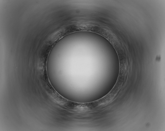 X0000094430749200711151342