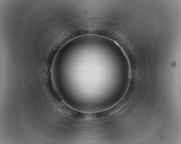 X0000094430750200711151342
