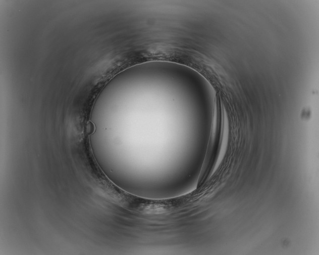 X0000094430751200711151342