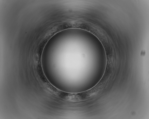X0000094430752200711151342