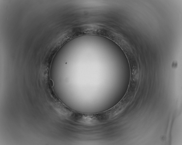 X0000094430753200711151342