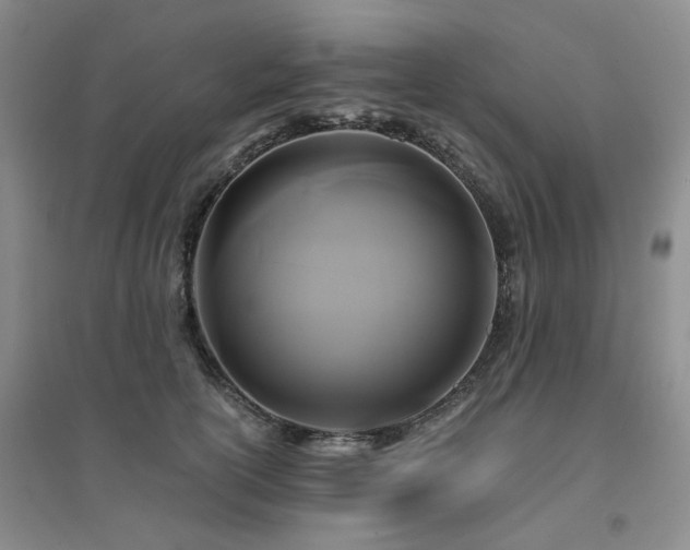 X0000094430754200711151342