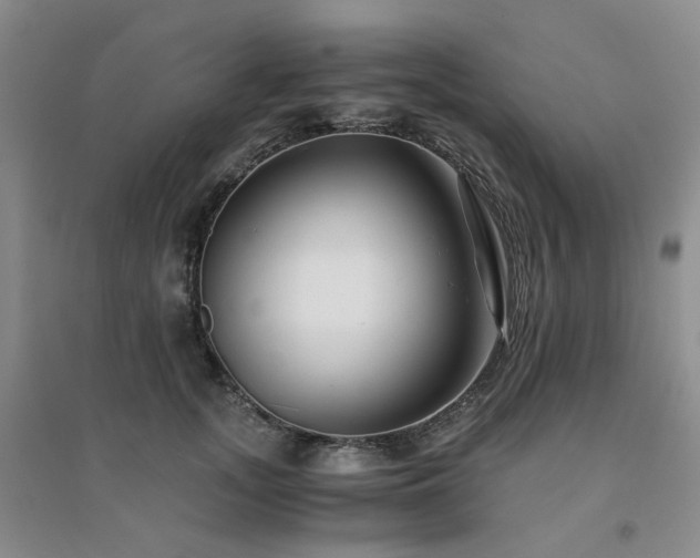 X0000094430755200711151342