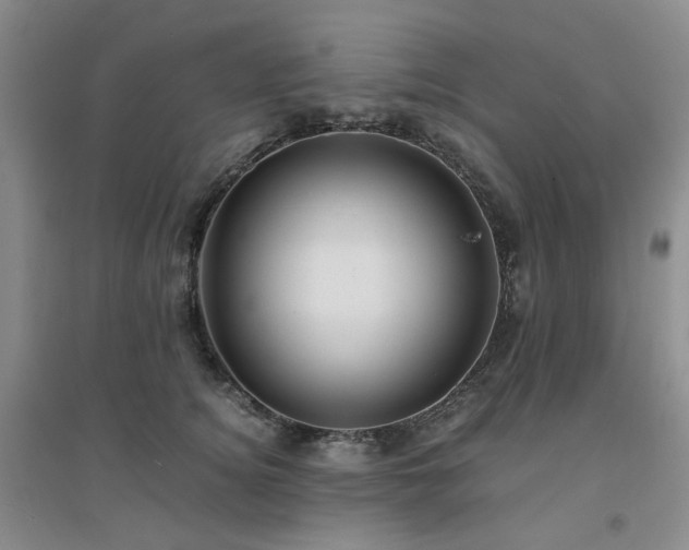 X0000094430756200711151342