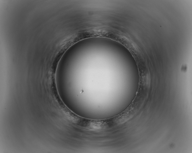 X0000094430757200711151342