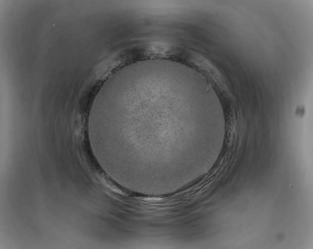 X0000094430759200711151342