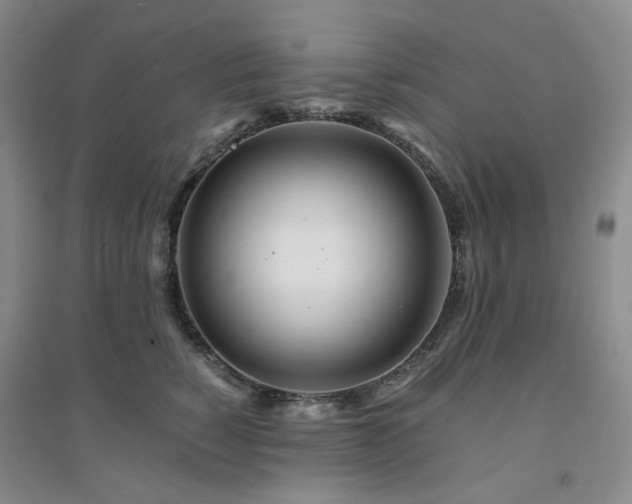 X0000094430760200711151342