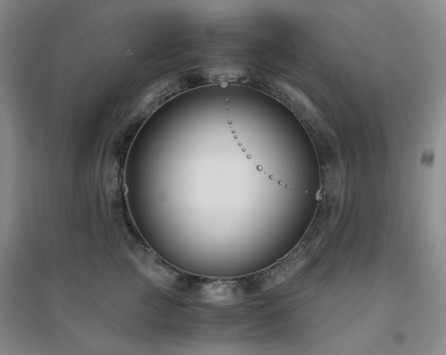 X0000094430761200711151342