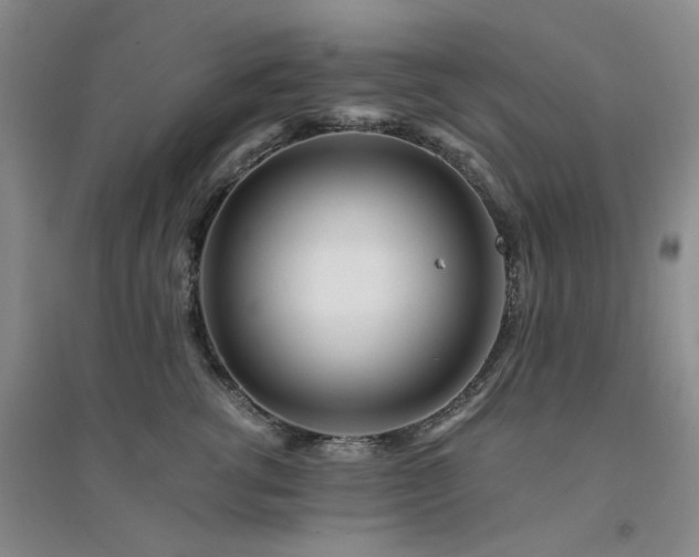 X0000094430762200711151342