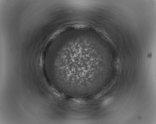 X0000094430763200711151342