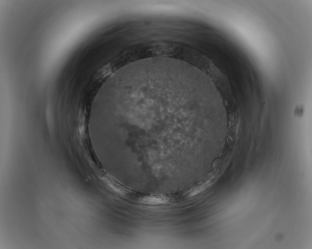X0000094430765200711151342