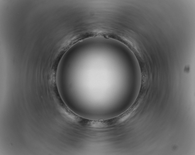 X0000094430766200711151342