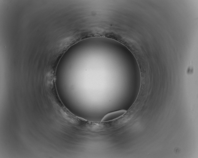 X0000094430768200711151342