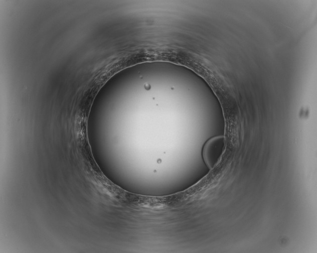 X0000094430770200711151341
