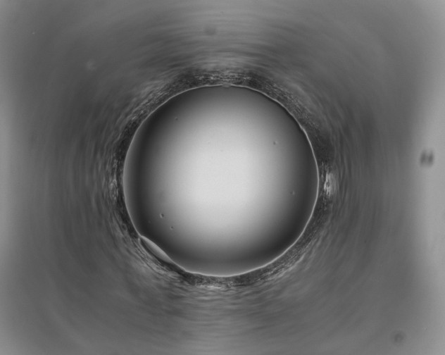 X0000094430771200711151341