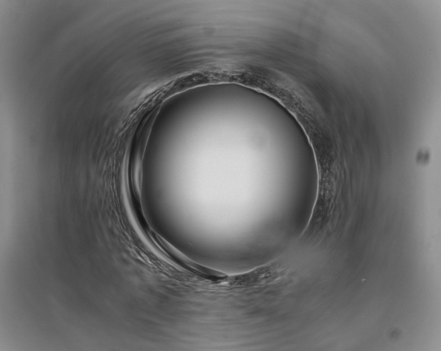 X0000094430773200711151341