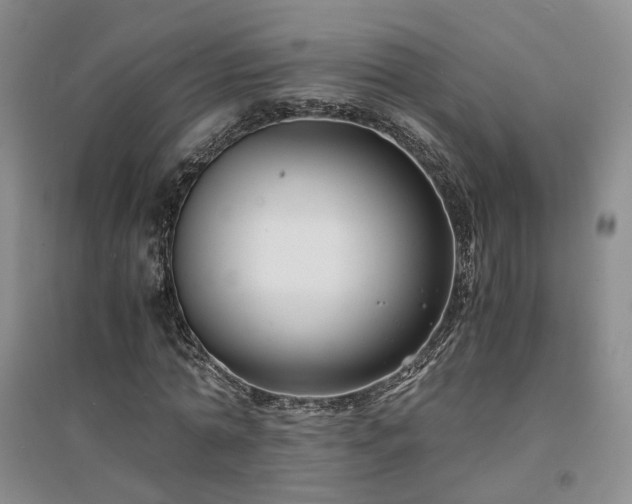 X0000094430774200711151341