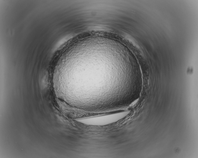 X0000094430775200711151341