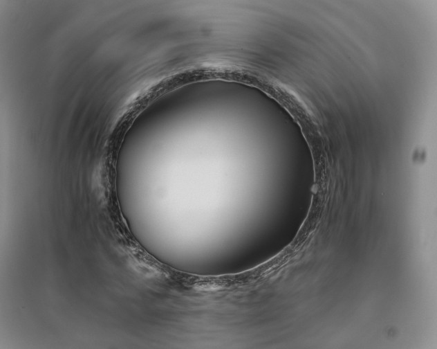 X0000094430776200711151341