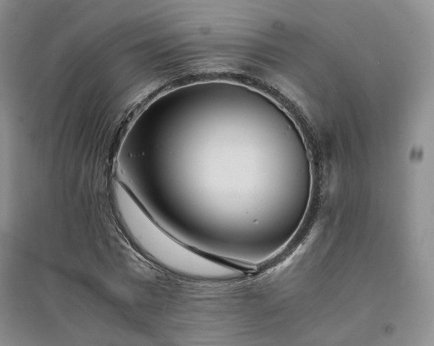 X0000094430777200711151341
