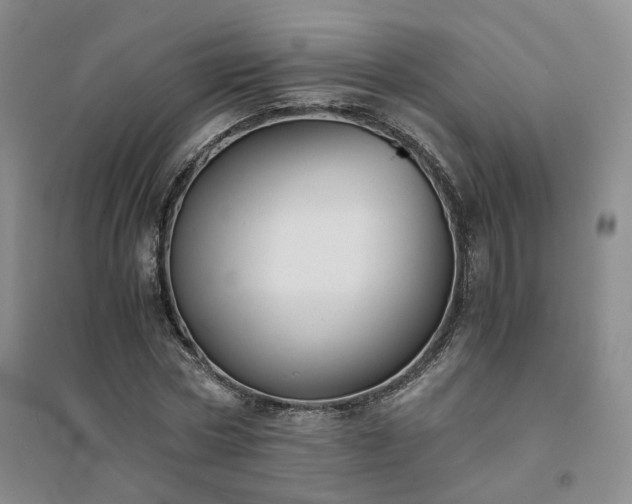 X0000094430778200711151341