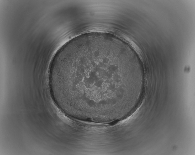 X0000094430779200711151341