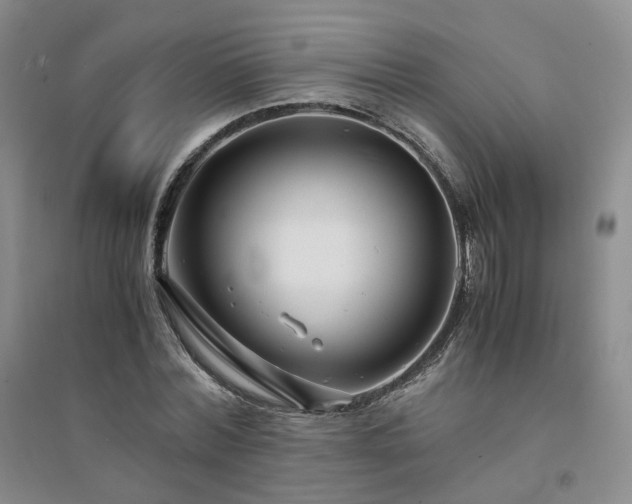 X0000094430780200711151341