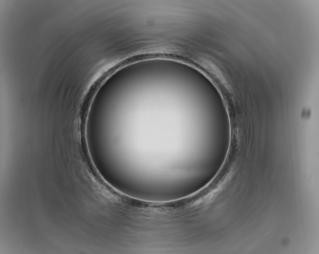 X0000094430781200711151341