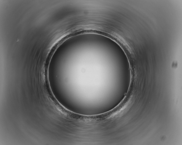X0000094430782200711151341
