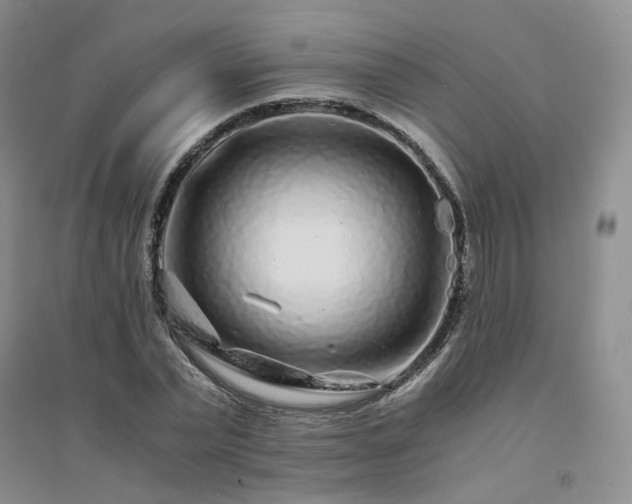 X0000094430783200711151341