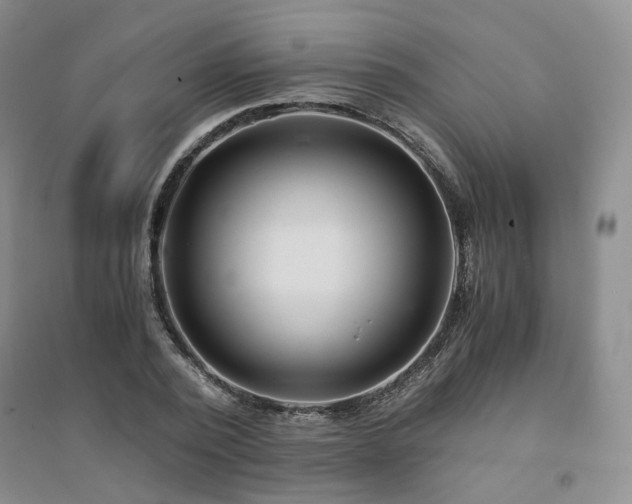 X0000094430784200711151341