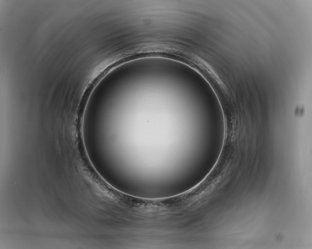 X0000094430786200711151341
