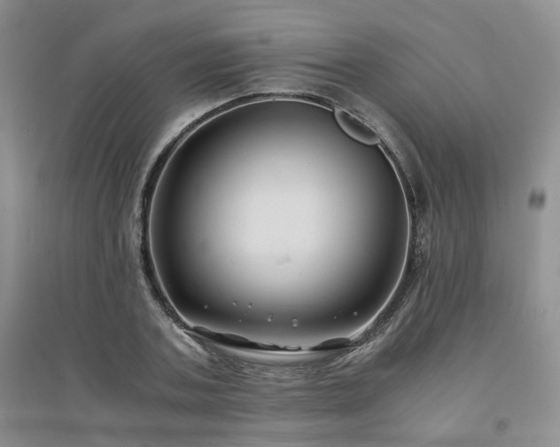 X0000094430787200711151341