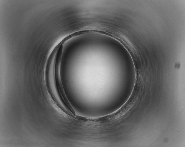 X0000094430788200711151341