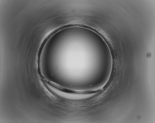 X0000094430791200711151341
