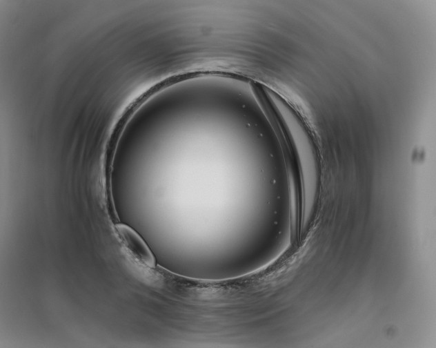 X0000094430792200711151341