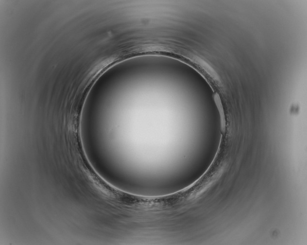 X0000094430793200711151341